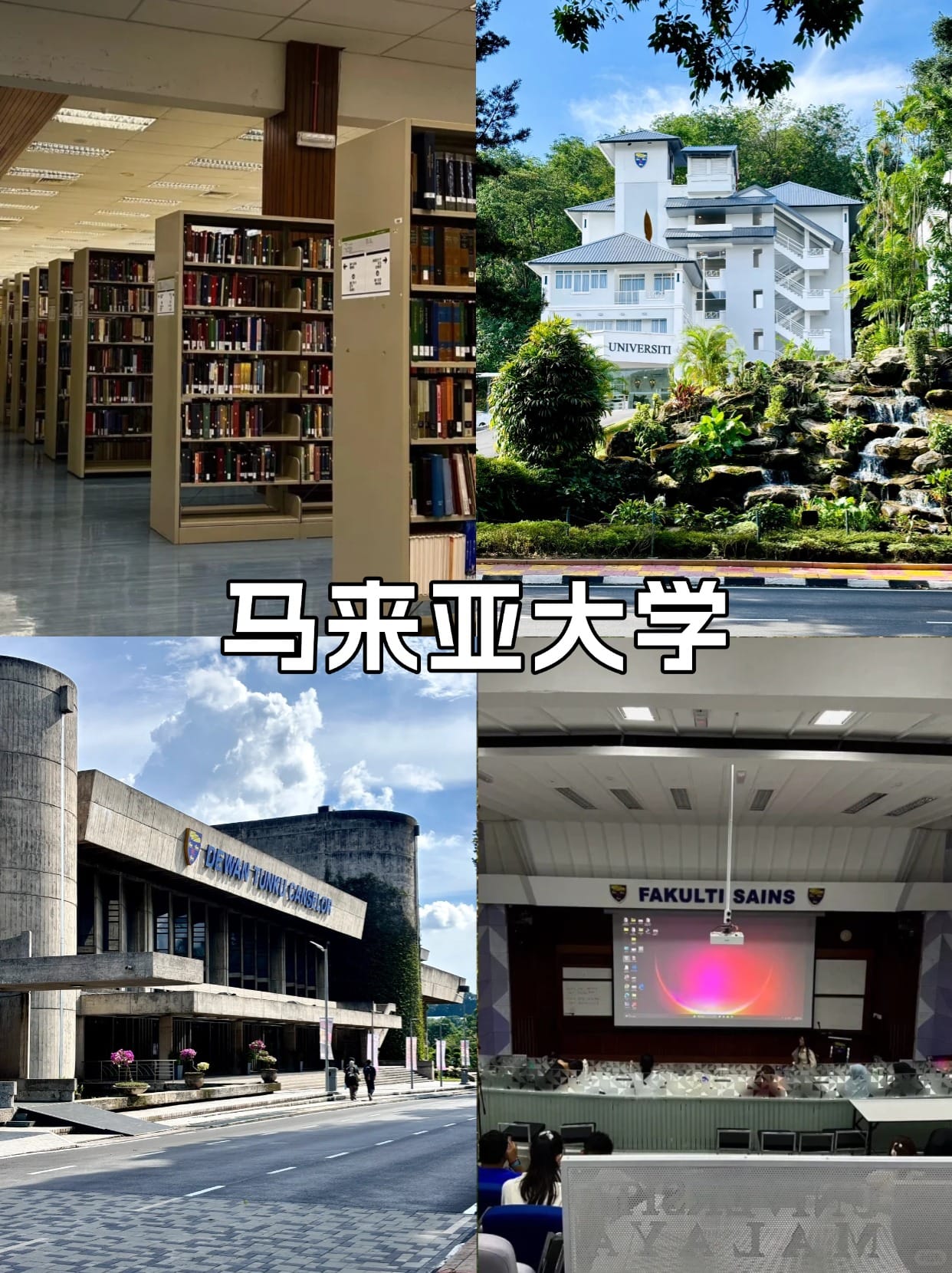 微信图片_20250708170800