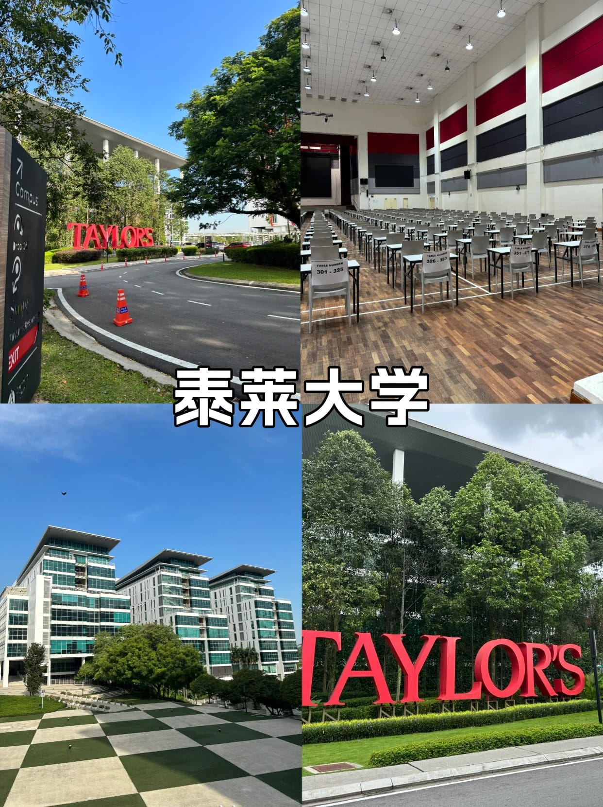 微信图片_20250708170814